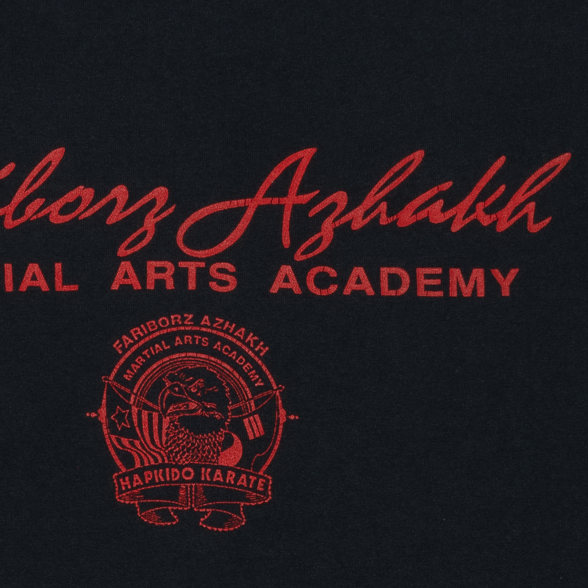 Fariborz Azhakh Martial Arts Academy 90's Tee Black-PLUS