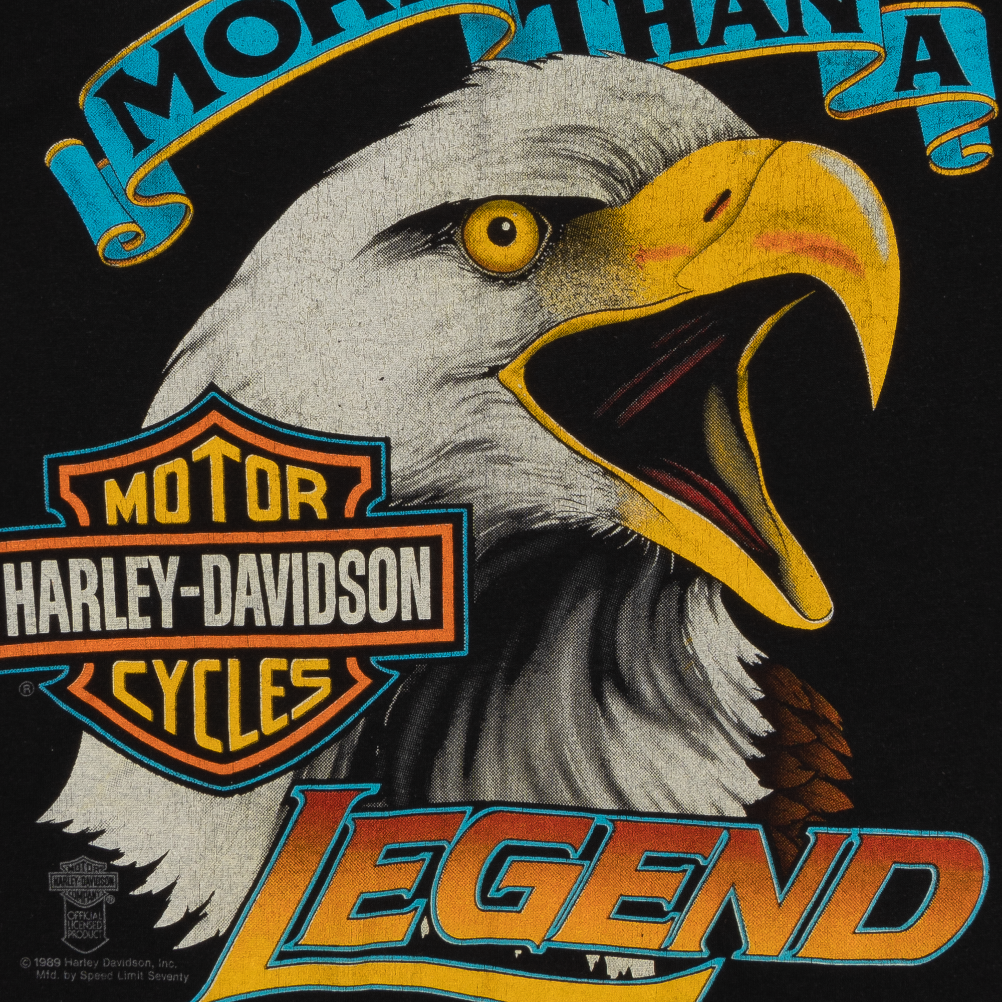 Harley Davidson 1989 "More Than a Legend" Tee Black-PLUS