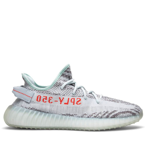 Zebra deals blue tint