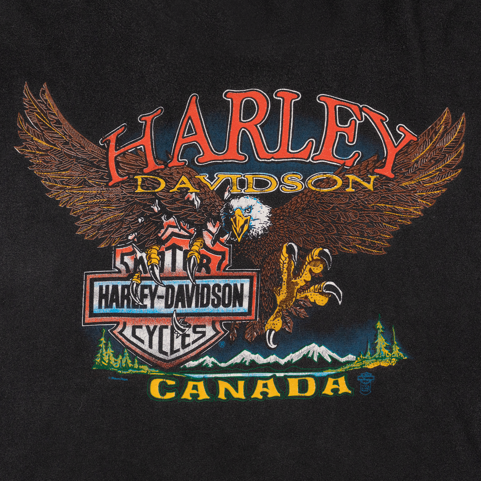 Harley Davidson Canada Eagle The Shop Tee Black-PLUS