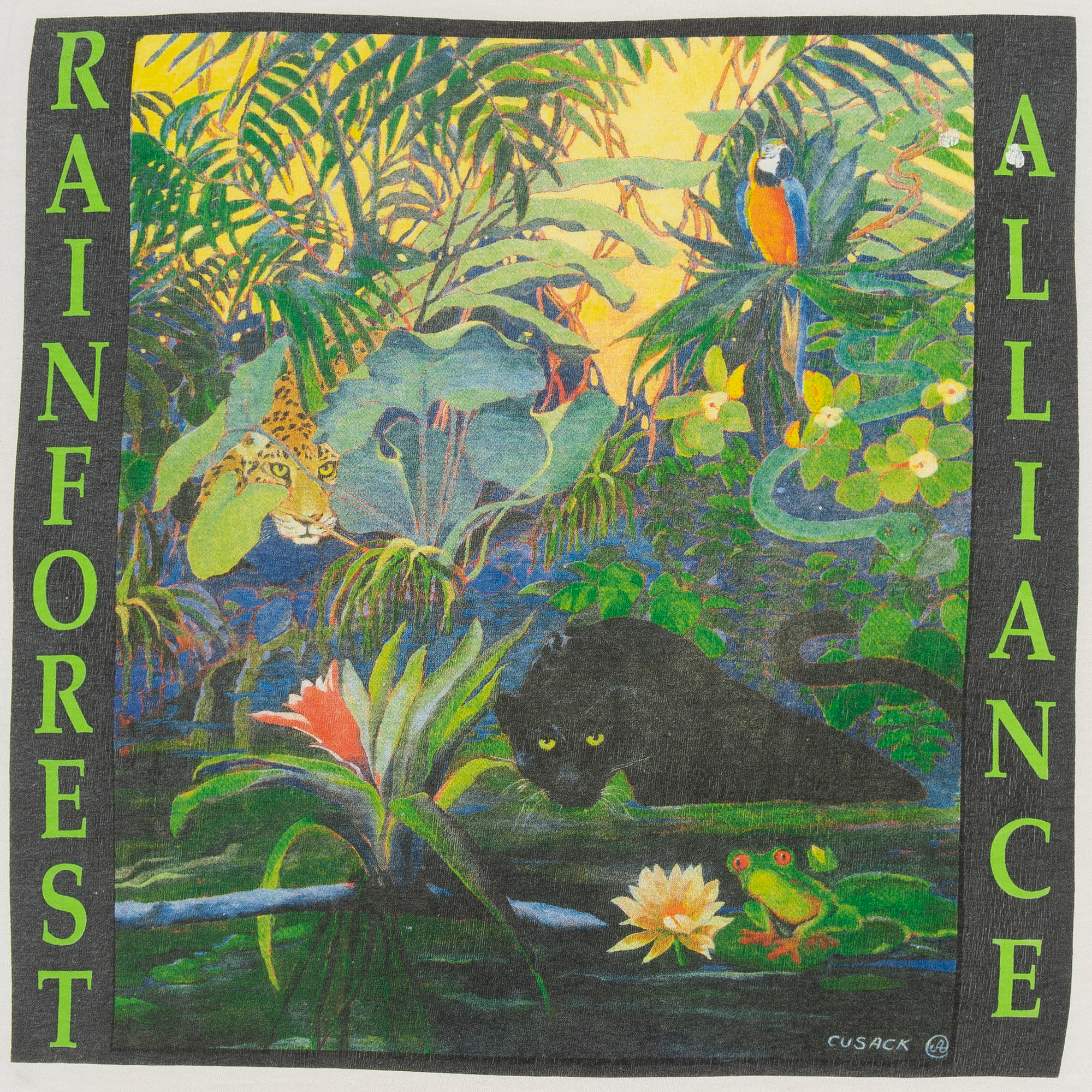 Rainforest Alliance 90s Art Tee White-PLUS