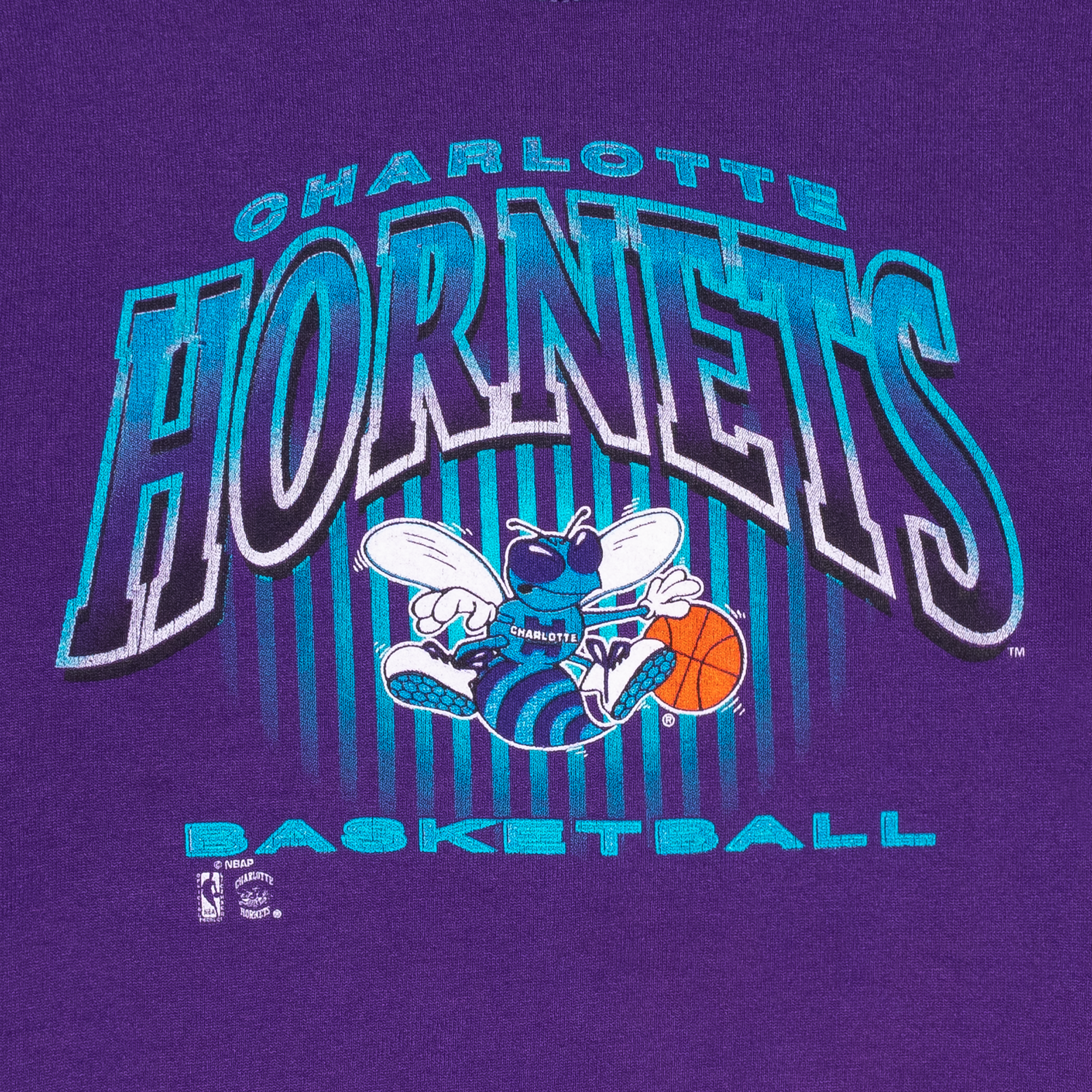 Charlotte Hornets Salem NBA Crewneck Purple-PLUS