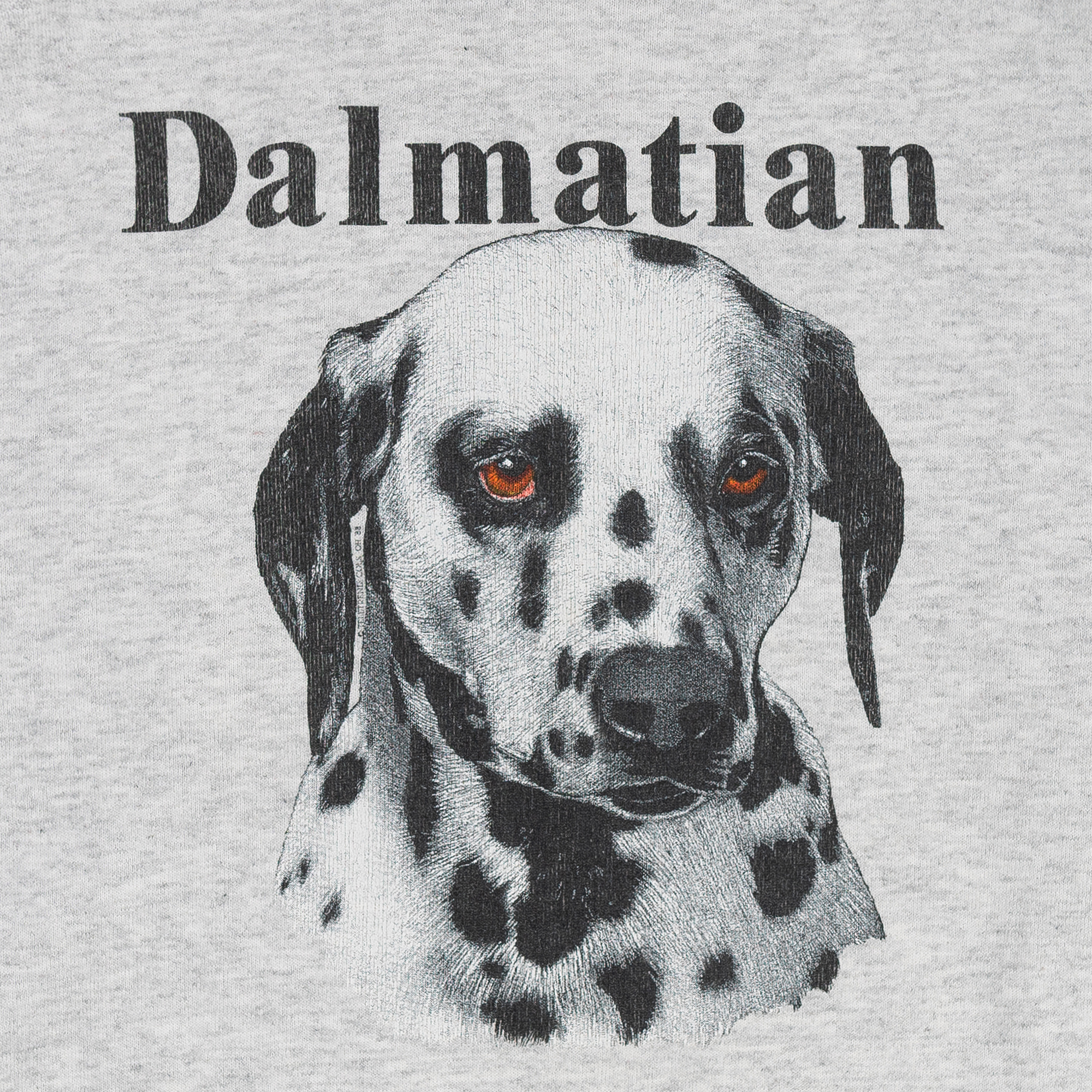 Dalmatian Face Graphic Crewneck Grey-PLUS